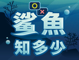 時雨高中-鯊魚知多少（113專班）