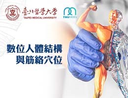 時雨高中-數位人體結構及經絡穴位（113專班）