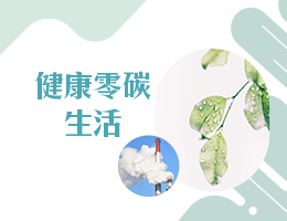 北大高中-健康零碳生活（114專班）